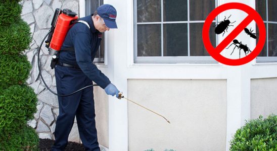 Yağcılar Hamam Böceği İlaçlama böcek ilaçlama ve haşere kontrolü — ilaclama-tr.com